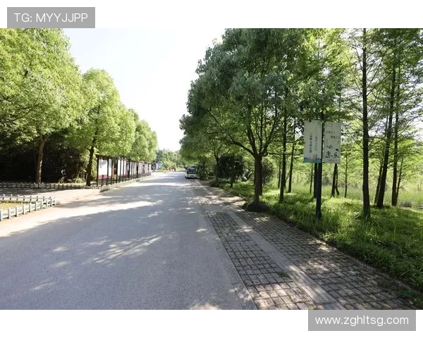 从牌局博弈到人情世故解析麻将胡了背后的智慧策略与欢喜瞬间